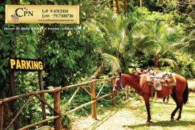 horseback, riding, panama, Caribbean, adventure, tour – Best Places In The World To Retire – International Living